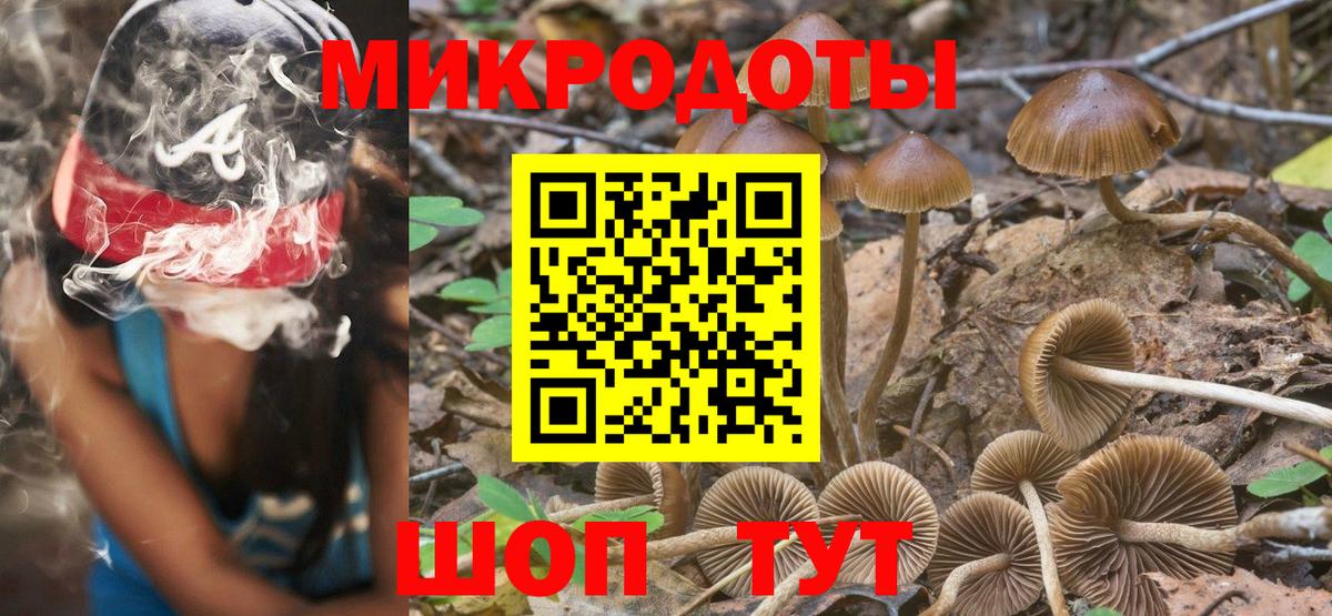 Псилоцибиновые грибы Psilocybe  Галлюциногенные грибы Psilocybine cubensis  Салехард  Вход с VPN 